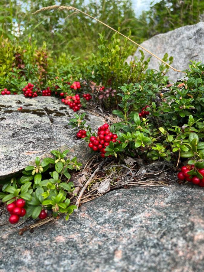 Апартаменты Raemsbyns Fritidsby, Naera Romme Alpin Idkerberget Экстерьер фото
